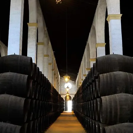 Appartement Sherryflat Terraza San Francisco Jerez de la Frontera