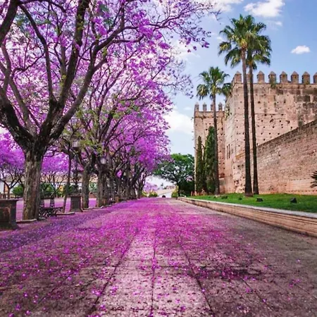 Apartment Sherryflat Terraza San Francisco Jerez de la Frontera