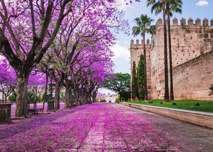 شقة Sherryflat Terraza San Francisco جيريز